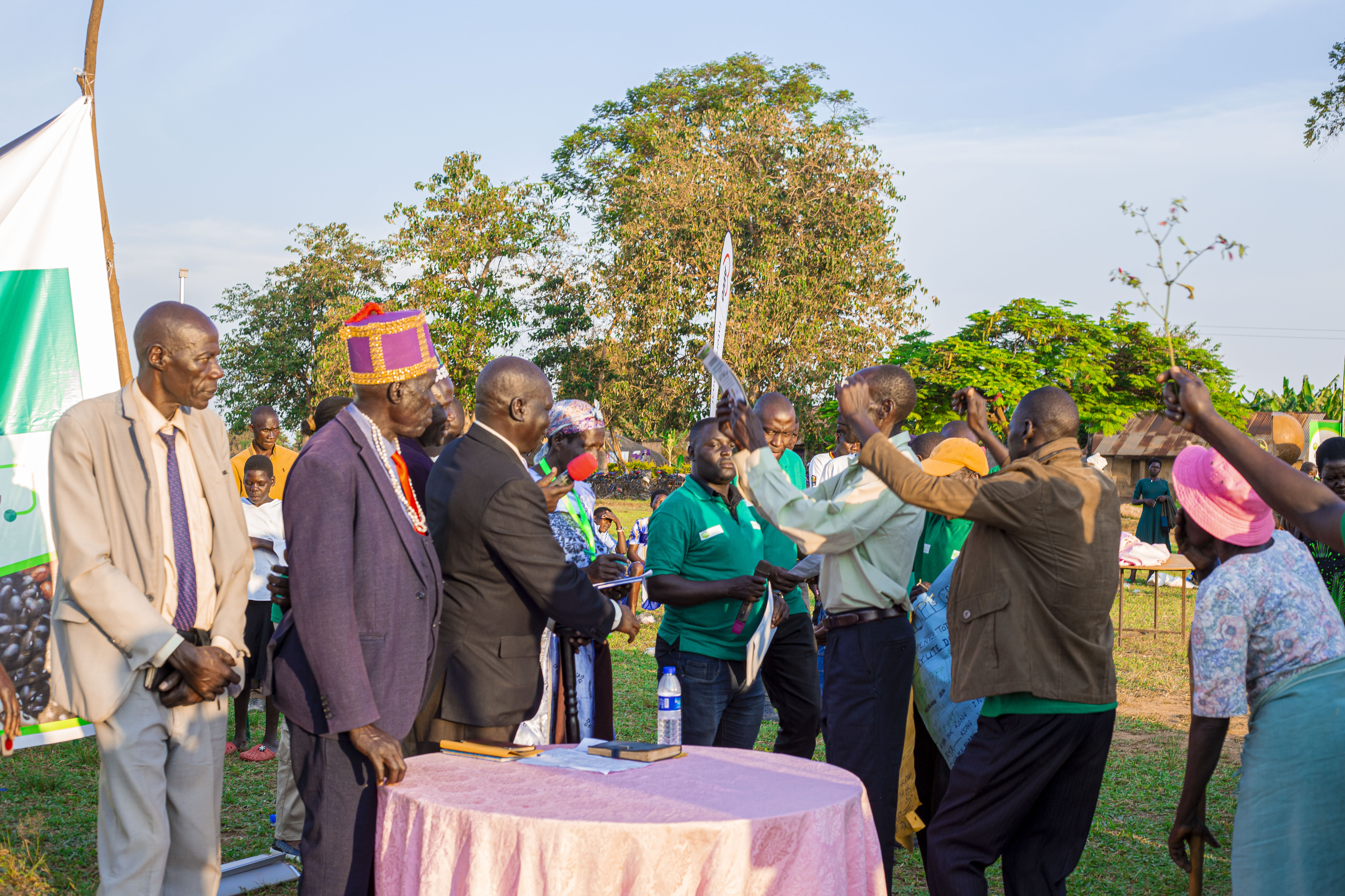 The Peacebuilding Project